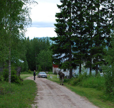 Tagen i höjd med uthuset, söder ut mot de två nedre husen