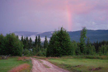 Tagen strax nedanför övre grannen, riktning söder, stugan ligger bakom dungen till vänster